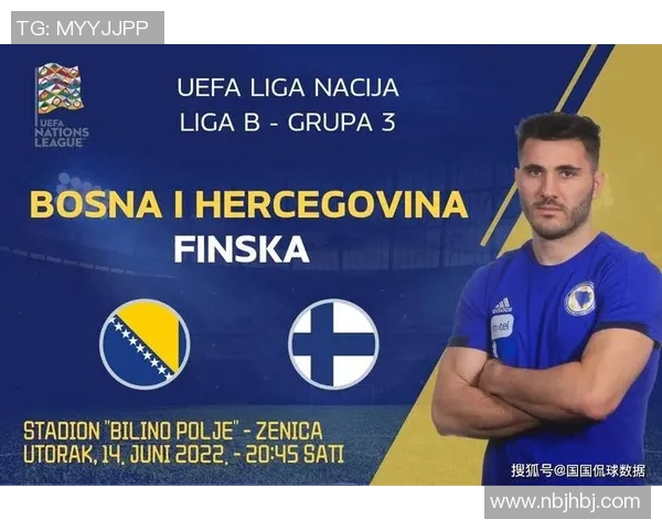 波黑和芬兰足球明星的精彩表现与成就分析