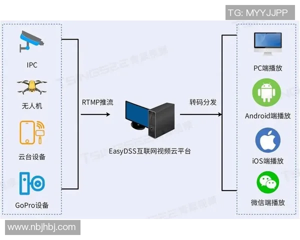 日本直播视频对比分析探索新趋势与发展潜力