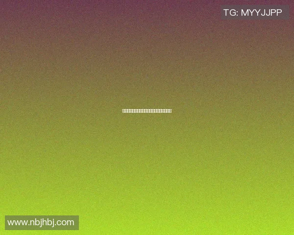 诺维斯基篮球全明星盛典回顾与传奇时刻重温